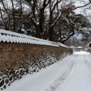 충무공민박 | "500년 전부터 이씨 성이 집성촌을 이룬 마을" 마을 전체가 국가민속문화재인 겨울 설경 명소
