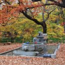 상림약수터 이미지