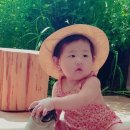 썬헤어매치 이미지