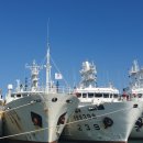 동해-단속-42 이미지