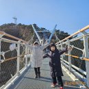 구름다리 | 송도 용궁구름다리 주차,입장, 후기 총정리｜부산 여행코스 추천