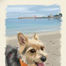 신기방기 이미지