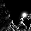 부평공원3 이미지