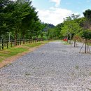 섬진강마실캠핑장 이미지