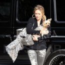 더프Duff 이미지