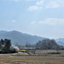 새말저수지 이미지