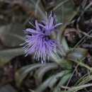 사계절환경 이미지