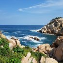 파란바다약국 이미지