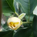 성장농장 이미지