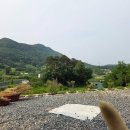 순미농장 네이버블로그