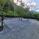 은하수 관광농원 이미지