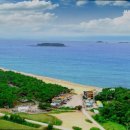 해피트리 고사포점 이미지