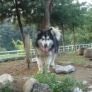 내촌농장 이미지