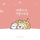 따뜻하개 이미지