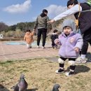 선암호수공원 산책🌳🌲🌳🌲 이미지