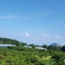 구들민박 이미지