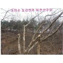 이미순농장 이미지