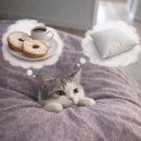 사천미용실 | 사천미용실 그레이스펌 후기 / 솔이랑 헤어