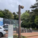 숲치유센터 공중화장실 | [제주/서귀포] 치유의 숲에서 원시림 힐링하고 들렁모루 오리탕 원샷