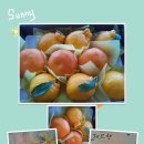 정우네농장 이미지