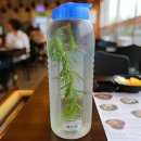 비바리올