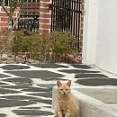 백야펜션 이미지