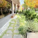 중경홍중 샤브샤브 | 샤브온담 원종 본점 부천 가족모임 장소 주차 편한 샤브샤브 맛집 후기