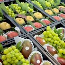 형제청과 이미지