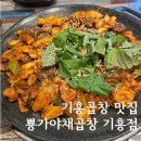 뿅가야채곱창 | 기흥구청 곱창 맛집 뿅가야채곱창 기흥점 방문 후기