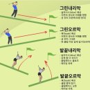 더컵골프라운지 이미지