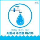아리수