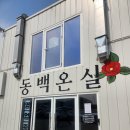 파주발랑캠핑타운 | [파주] 캠핑 감성 가득한 오리로스, 닭볶음탕 맛집 -) 동백온실 내돈내산 메뉴 리뷰