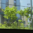 파파펫살롱 이미지