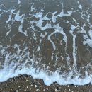 혜림원 | 선교 1+2일차 ᰔᩚ