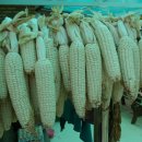 물안개민박 이미지