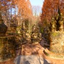 앙코르와트 이미지