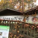 허브나라 자작나무집 이미지