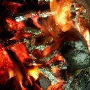 사과꽃 향기는 바람 이미지