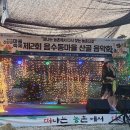 음수동 Daum카페