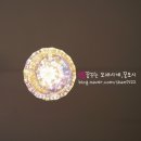 공개정원
