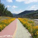 광려천변 힐링산책로 이미지