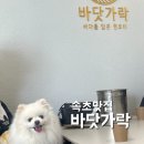 속초여행 애견동반 장칼국수 맛집 바닷가락