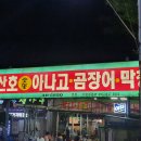 신산호아나고곰장어