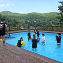 낮은굴뚝 애견펜션 이미지