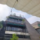 퀸스 - 청주시 흥덕구 진재로 21 | 남양주 애견카페 "카페인퀸스" 주말 방문 후기