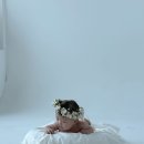 핸지스튜디오 이미지