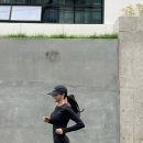 짐 화이트하우스 이미지