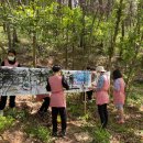 입면초등학교 이미지