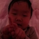 태영이불 이미지