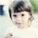 부산디지털대학교 이미지